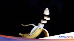 Paksu Waspada, Ini Posisi Bercinta yang Berisiko Bikin Mr P Patah