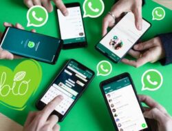 Cara Sadap WhatsApp hanya Bersama Nomor HP Tanpa Inisiatif