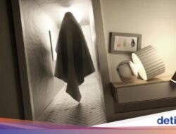 Penjelasan Ilmiah Melihat Hantu, Belum Tentu Indigo Mungkin Saja Saja Halu