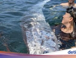 Ketiga Kalinya Ikan ‘Kiamat’ Muncul Ke Pantai Ini