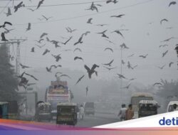 Kabut Asap Beracun Bekap Pakistan, Picu Krisis Kesejaganan