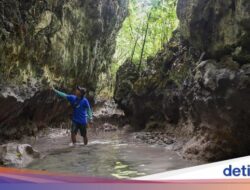 Wisata Menyusuri Gua Hingga Pulau Maratua Kaltim