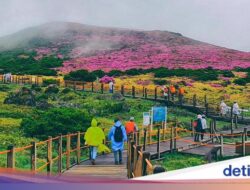 38 Turis Vietnam Hilang Hingga Pulau Jeju, Ada Dugaan Perdagangan Manusia