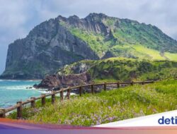 38 Turis Vietnam Hilang Di Pulau Jeju, Ternyata Bukan yang Pertama Terjadi