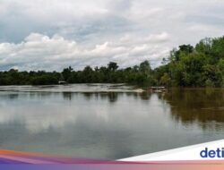 Menyelami Kearifan Lokal Dunia Suku Dayak dan Bertemu Orang Utan Di Sei Gohong