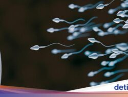 Perusahaan AS Ini Bikin Lomba Adu Balap Sperma, Disebut yang Pertama Hingga Dunia