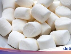 Apa Itu Porcine? Dikaitkan Temuan Unsur Babi Di Produk Bersertifikasi Halal