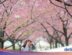 Momen Luna Maya Kulineran hingga Dilamar Hingga Jepang