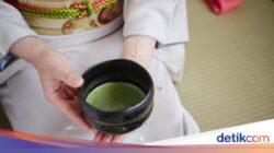 Chef Ini Ungkap 6 Kemiripan Konsumsi Jepang Bersama Lokasi India