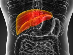 7 Konsumsi Sehari-hari Bagus Untuk Kesejajaran Liver, Termasuk Minuman Kafein