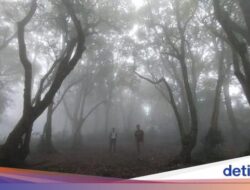 Kisah Para Pendaki yang Tersesat Di Gunung-gunung Jawa Barat