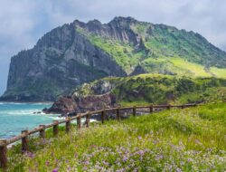 Viral Ke Drakor, Ini Alasan ‘Haenyeo’ Jeju Kuat Menyelam Tanpa Oksigen