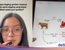Kenapa Ya Daging Kurban Rasanya Beda Untuk Daging Biasa?