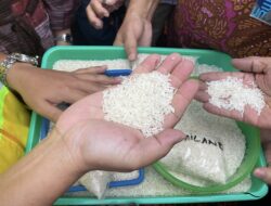 10 Perusahaan Besar Kesandung Beras Oplosan, Siap-siap Dipanggil Bareskrim