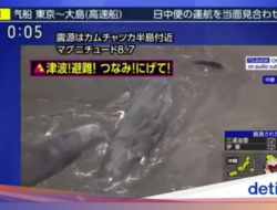 Gempa M 8,7 Guncang Rusia, Paus-paus Terdampar Ke Jepang