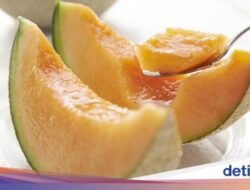 Deretan 10 Buah Termahal Di Dunia, Ada Melon Seharga Kendaraan Pribadi!