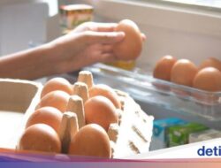 Jangan Simpan 5 Konsumsi Ini Ke Pintu Kulkas, Kualitasnya Bisa Menurun