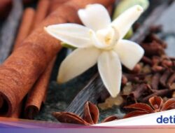 Terkuak, Kearifan Lokal Terapi Sakral dan Unik Dayak Golik, Diwariskan Lewat Mimpi