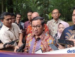 Revitalisasi, Wisata Malam, HTM Naik