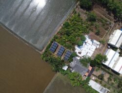 Tambah Kapasitas PLTS, Pertamina NRE Dukung Pertanian Ke Cilamaya