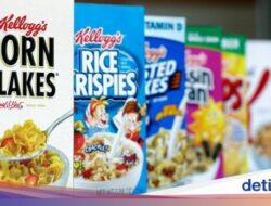 5 Fakta Kemasan Makanan, Bikin Kesan Mewah dan Terpercaya