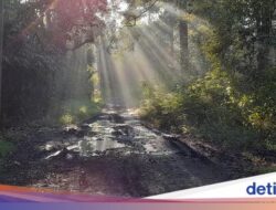 Mitos Asap Di Gunung Kareumbi, Karena Itu Pertanda Hujan Berencana Datang