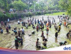 Kebiasaan Buka Tetek yang Unik Hingga Klaten, Pesertanya Ratusan Orang
