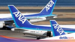 Pesawat Jepang Senggol Lampu Landasan Bandara, Putar Balik Sesudah 1 Jam
