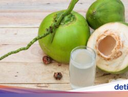 Air Kelapa Bisa Dari Sebab Itu Lebih Bermanfaat Kalau Diminum Ke 4 Waktu Ini
