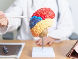 7 Tanda Otak Bermasalah, Bisa Dari Sebab Itu Ciri-ciri Kena Kanker!