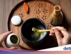 3 Mutu Matcha Berdasarkan Waktu Panennya, Mana yang Terbaik?