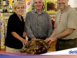 Antik! Begini Penampakan 10 Fosil Konsumsi yang Ditemukan Arkeolog