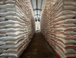 Indonesia Catat Surplus Beras Tertinggi, AS Dihantam Krisis Ketahanan Pangan