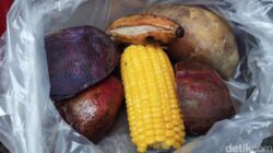 Awas Basi! Kenali Tanda-tanda Rebusan dan Kukusan Sudah Tak Layak Konsumsi