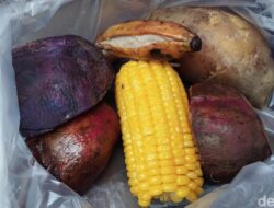 Awas Basi! Kenali Tanda-tanda Rebusan dan Kukusan Sudah Tak Layak Konsumsi