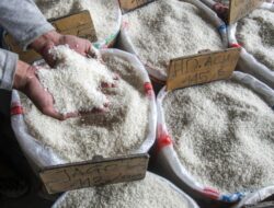 Indonesia Tak Lagi Perdagangan Masuk Negeri Beras Medium Hingga 2025