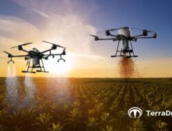 Diduga Pemicu Kebakaran Di Kemayoran, Inilah Jenis-jenis Baterai Drone