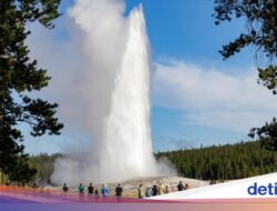 Mulai 2026, Tiket Taman Nasional Di AS Bakal Naik Rp 1,6 Juta