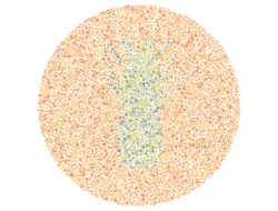 Kelihatan Jelas atau Samar? Uji Ketelitian Mata lewat Tebak Gambar Buah Ini