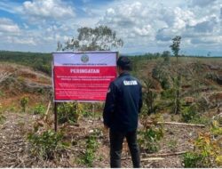Kemenhut Identifikasi Kerusakan Lingkungan Ke Hulu DAS Batang Toru dan DAS Sibuluan