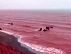 Warna Laut Teluk Persia Berubah Karena Itu Merah Darah