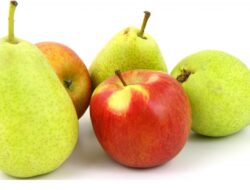 8 Buah Rendah Gula yang Cocok Sebagai Asupan Konsumsi