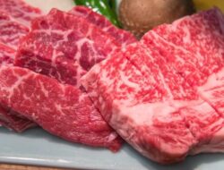 Awal Mula Influencer Alami Kerusakan Ginjal gegara Coba Gaya Asupan Minuman Karnivora