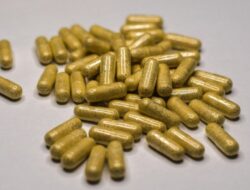 Pelatihan Perawatan Herbal Aman Ke Di Meningkatnya Tindak Kejahatan Diabetes