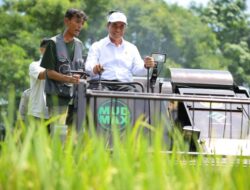 Kementan Bentuk 33 Balai Besar Modernisasi Agrikultur Di 33 Provinsi