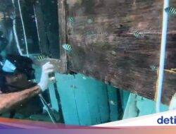 Polisi Tetapkan 2 Individu Terduga Didalam Kapal Tenggelam Manajer Valencia