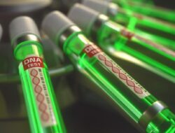 Waspada ‘Disease X’, Ahli Infeksi Soroti Patogen yang Dari Sebab Itu Ancaman Hingga 2026