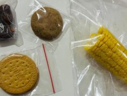 Banyak SPPG Ketahuan Mark Up Harga-Standar MBG Jelek, BGN Bilang Gini