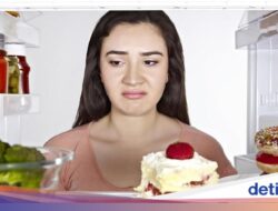 Kulkas Bisa Dari Sebab Itu Sumber Gangguan, Ini 3 Kegagalan yang Harus Dihindari