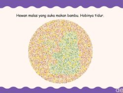 Ketajaman Mata Diuji Di Sini, Coba Tebak Hewan Apa yang Lagi Bersembunyi